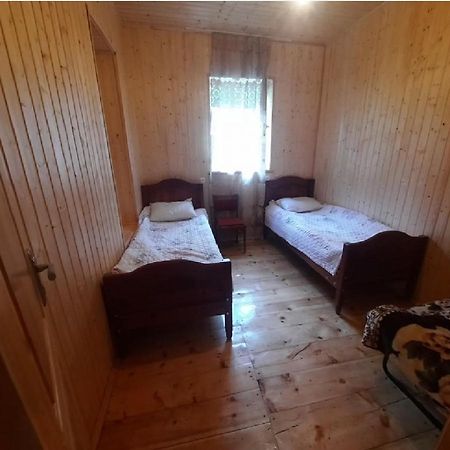 Nino&Tarzan Guesthouse Adishi Zewnętrze zdjęcie