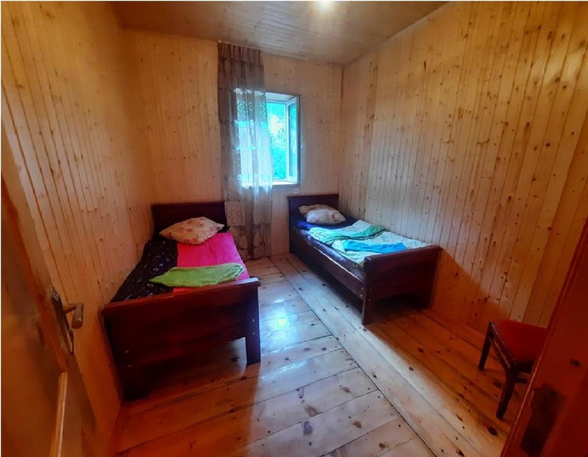 Nino&Tarzan Guesthouse Adishi Zewnętrze zdjęcie