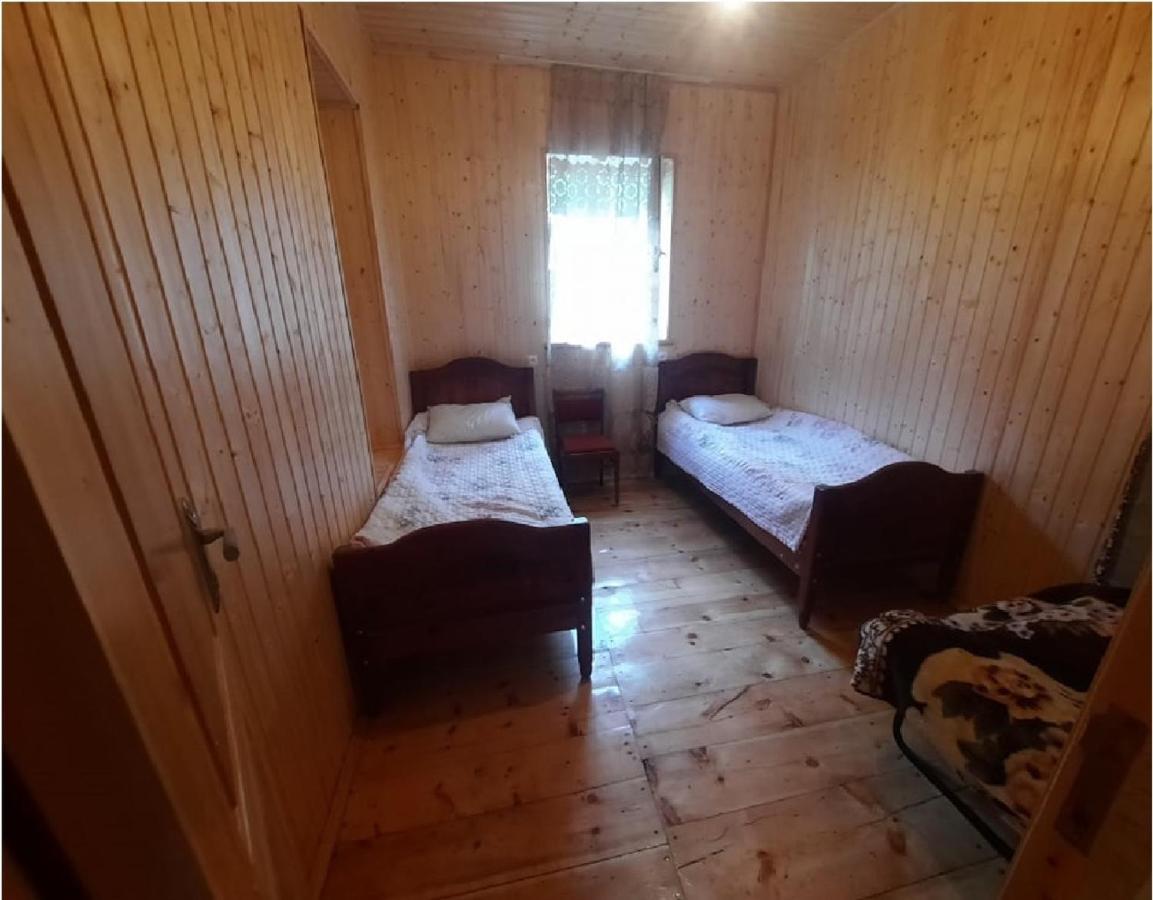 Nino&Tarzan Guesthouse Adishi Zewnętrze zdjęcie