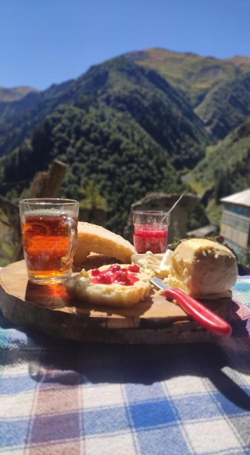 Nino&Tarzan Guesthouse Adishi Zewnętrze zdjęcie
